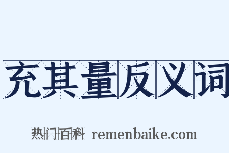 充其量反义词是什么意思的图片